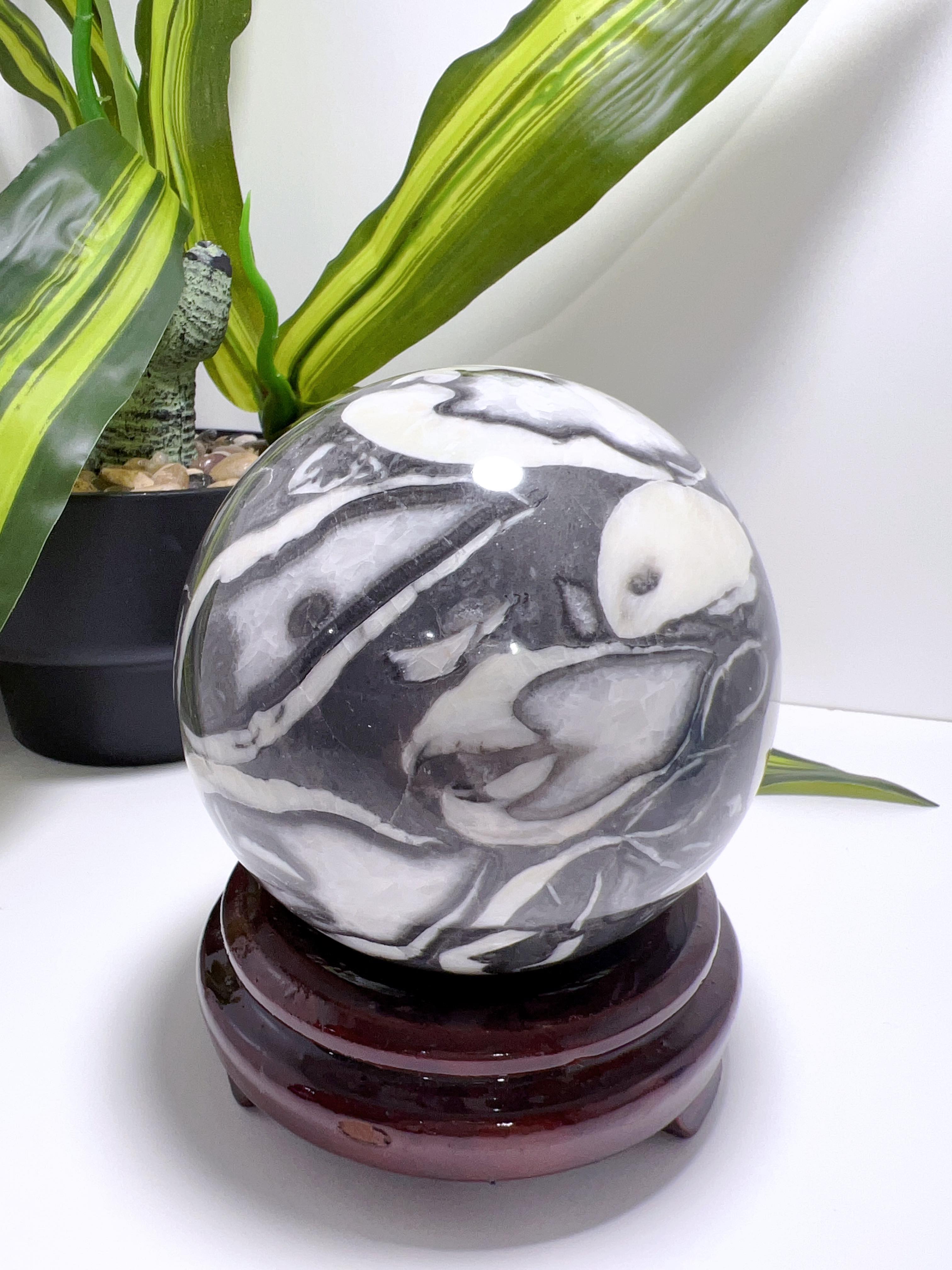 371527072_169224349545163_589554613433105147_n