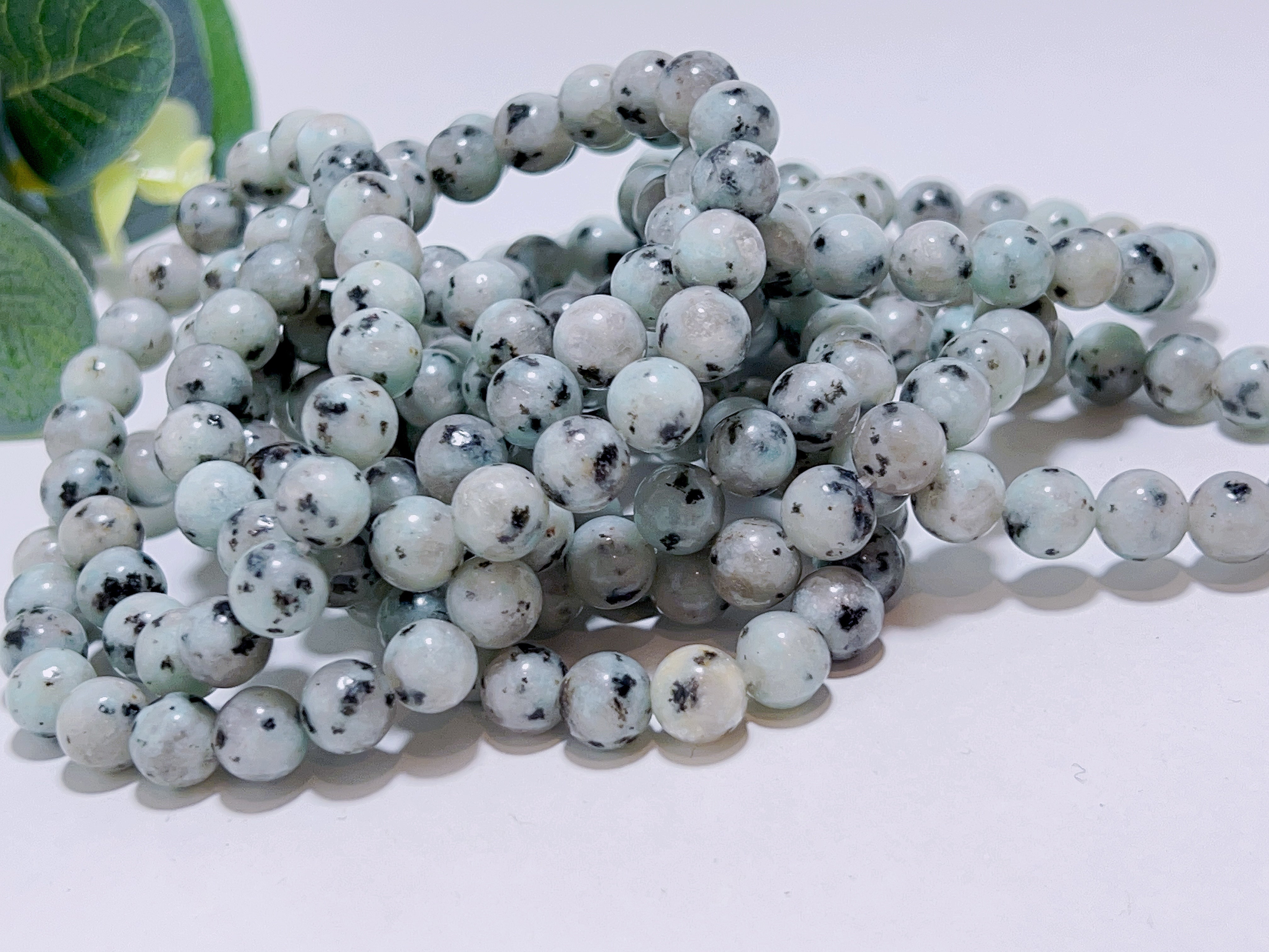 3E8CA0D5-8593-46A4-9022-140EAA07C220