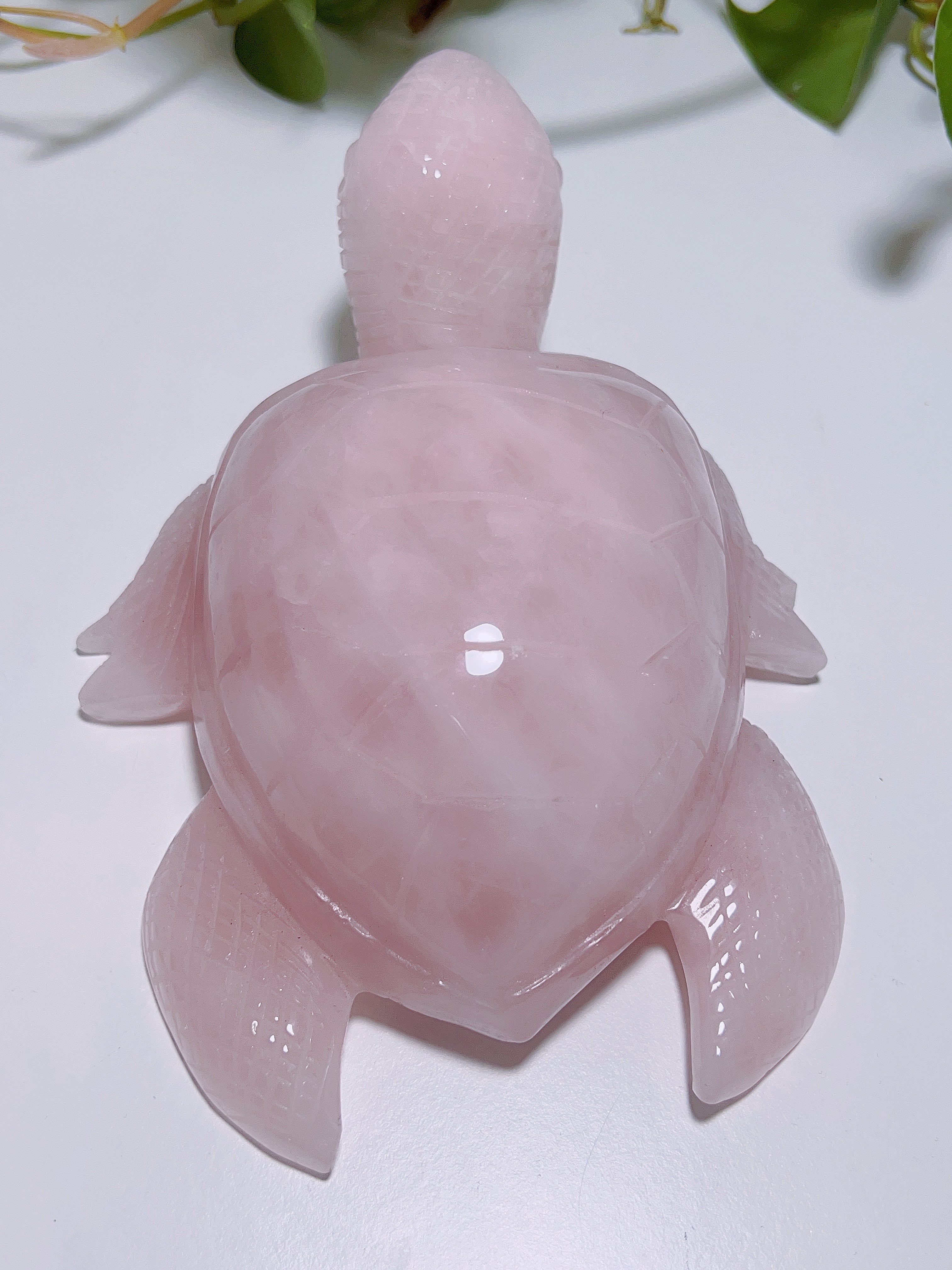 797C4CF7-0F12-434B-8DA3-7A2E7B0A394C