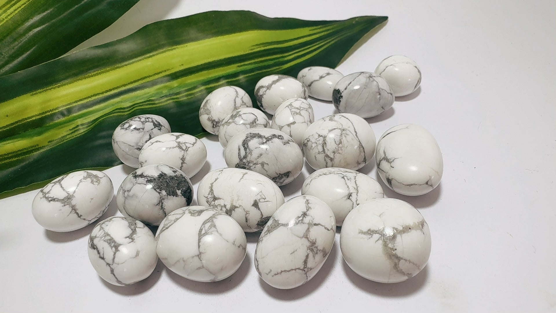 BC81C2AD-F3E3-44B1-89C9-EC06280D019A